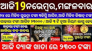 today's morning news odisha/19 november 2024/subhadra yojana online registration/odisha news today