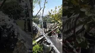 #gardening #pl #indoorplantplantnursery