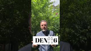 Resfebe Bulmacası