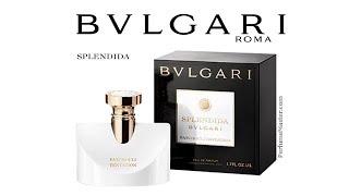 Bvlgari Splendida Patchouli Tentation New Perfume