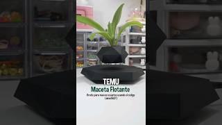 Maceta Flotante - Decoración - Amante de las plantas TEMU #plants #floating #macetas #decoration