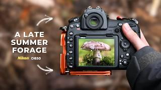 September Mushroom Photography! Foraging with a Nikon D850