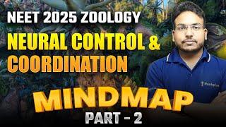 Neural Control and Coordination | Part-2 | MindMap Series | NEET 2025 Zoology | Mahesh Sir