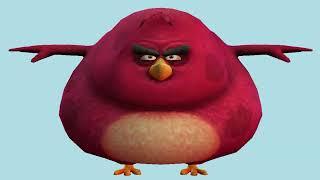 IM DA BIGGEST BIRD 