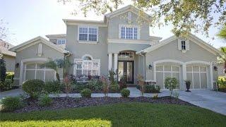 Tampa FL Real Estate: 12006 Meridian Point Dr