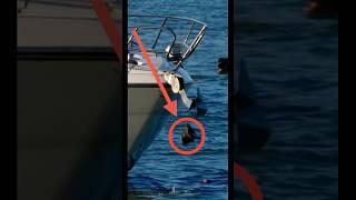 Do any of the new yachts have a camera near the anchor to see if it's clean?