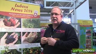 Lubera Neuheiten 2014