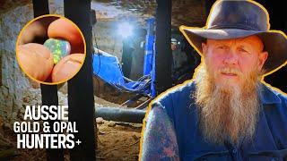 Bushmen Find Black Opal - The Rarest Opal In The WORLD! | Outback Opal Hunters