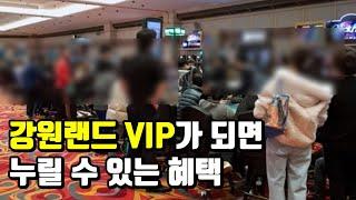 일반인은 모르는 강원랜드 VIP의 생활