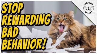 Are you Rewarding Your Cat’s Bad Habits?