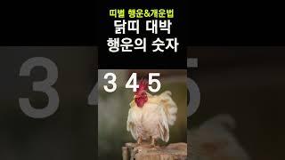 띠별로 보는 행운의 숫자! 닭띠에게 돈복 터지는 숫자! 2024년 대박나는 닭띠 행운의 숫자&컬러 #띠별운세, #행운의숫자, #행운의컬러, #신년운세, #갑진년운세,
