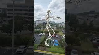 mr skeleton is dancing on the city #cool #funny #skeleton #mrskeleton 