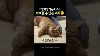 이게 바로 아무말 대잔치