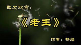 散文欣赏：老王