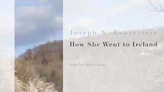 How She Went to Ireland, by Joseph N. Rubinstein