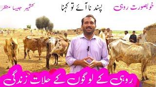 Life in cholistan Pakistan cholistan me log Bijli pani Aur Gas  k Bagir Kaise zinndgi guzarty hen