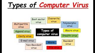 Types of virus