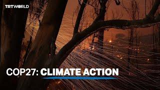 COP27: climate action | TRT World Special Coverage