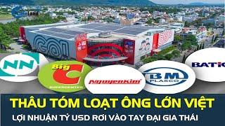 Thâu tóm loạt ông lớn Việt, lợi nhuận tỷ USD rơi vào tay đại gia Thái | CafeLand