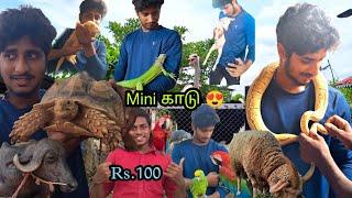 100 rs worth Farm | Ibrahim farm Visit near pudukottai| Nivash vlogs