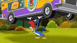 Food Truck Showdown | 1 Hour of Woody Woodpecker Full Episodes