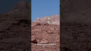 Alien Signs in the Desert