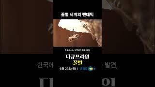 꿀벌 세계의 펜데믹｜#다큐프라임 꿀벌｜6월 23일(월) 첫방송