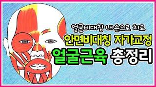 안면비대칭 교정운동 / 얼굴근육 총정리 / 안면비대칭 자가교정 / 얼굴비대칭 / 안면비대칭  [교정의 신, 리샘TV]