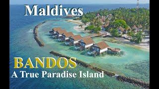 4K | BANDOS ISLAND | ONE OF THE BEST RESORT ISLANDS IN THE MALDIVES | 2024