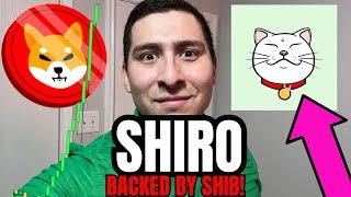 1 BILLION in 1 DAY SHIRO MEMECOIN Crypto Review (BIG NEWS)