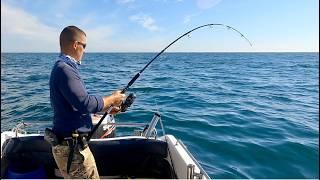 Shark Fishing UK - Deep Sea Fishing for Sharks - Everything you need to know | The Fish Locker