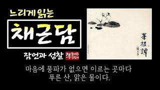 채근담｜잠언과 성찰｜천년의 지혜가 녹아 있는 수신서(修身書)이자 처신서(處身書)｜깊고 담담한 맛과 소박하고 단순한 삶