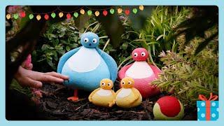 Twirlywoos - Playing Catch The Ball | WildBrain First Steps | Fun-filled Videos For Kids