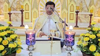 Holy Mass November 18 Monday   5.30 AM I Malayalam I Syro Malabar I Fr Bineesh Augustine