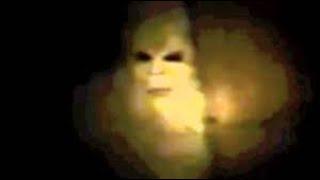 BIGFOOT - White Albino Pennsylvania Bigfoot!  My favorite Sasquatch video!