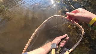 "Mad River Browns" *Life on the Fly*   November Ohio trout fishing