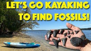 Kayaking to Find Amazing Fossils! | Charleston Fossil Adventures