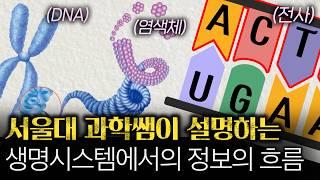 [통합과학 - 변이와 자연선택에 의한 생물의 진화] DNA 구조, 유전자, 단백질의 모든 것