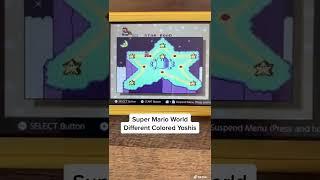 Different Colored Yoshi’s In Super Mario World
