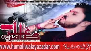 Zamin Ali NEW Noha (2019) {G Y C} Matam Mola Hussainas Jo