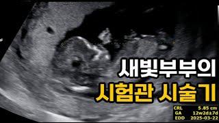 1년 6개월간 4회의 난자채취, 배아이식 2회의 기록