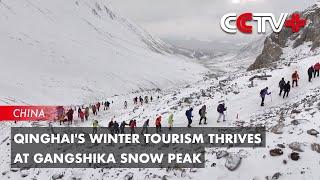 Qinghai's Winter Tourism Thrives at Gangshika Snow Peak #chinatravel