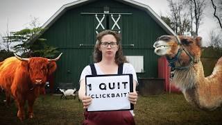 Everything We’ve Quit Homesteading, and Why?