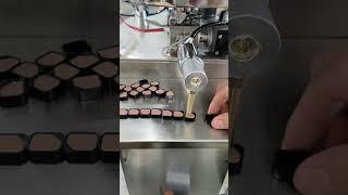 ZONESUN ZS-GTPP1H Semi-automatic piston pump cream  lipstick paste filling machine