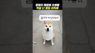 댕댕이 때문에 사생활 박살 난 옆집 아저씨