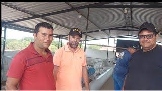 visita o capril cpnet