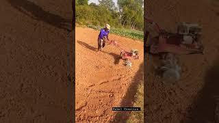 #shorts #viral #status #subscribe #ytshorts #sidhumoosewala #farming #rahulcreation #trending