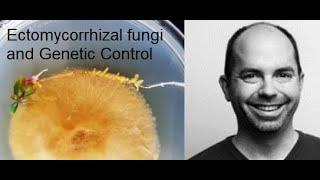 Ectomycorrhizal fungi - the relationships involved in genetic control - Dr. Jonathan Plett