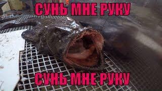 РЫБА МОРСКОЙ ЧЕРТ / ОПАСНАЯ РЫБА / MONKFISH