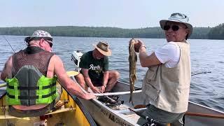 Craig's Lake Trout Algonquin PP